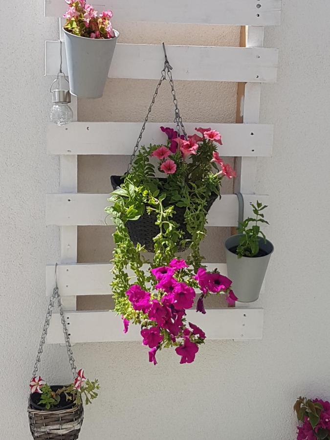 Apartment Mirjana Makarska Zewnętrze zdjęcie